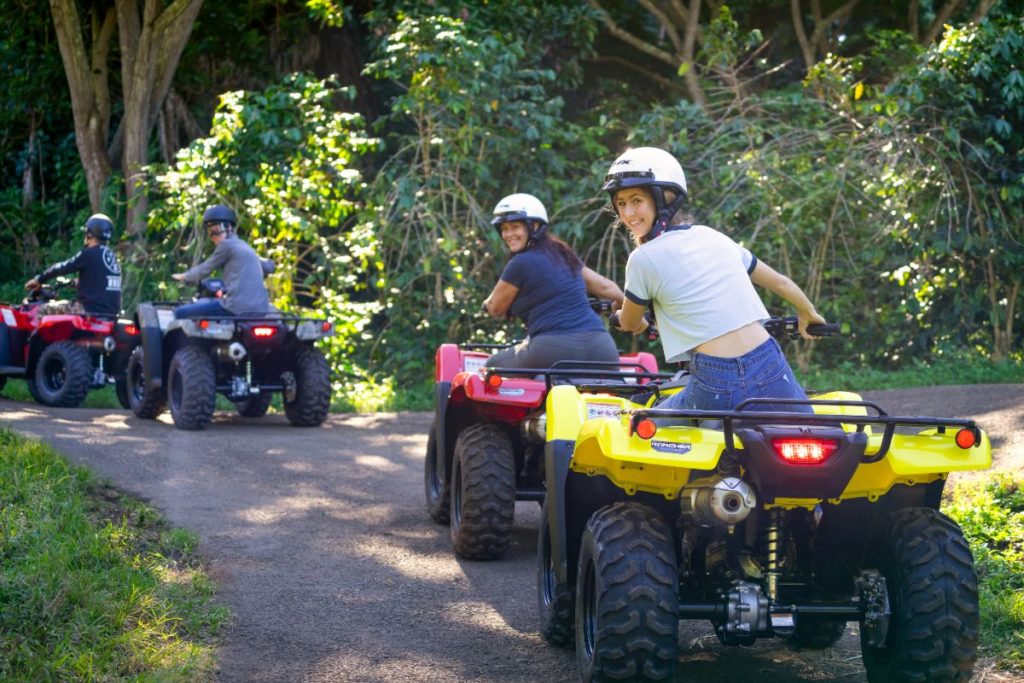 Big Island ATV Tours & Wood Carving Aloha Adventure Farms
