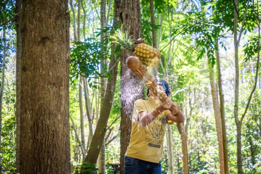 Big Island ATV Tours & Wood Carving Aloha Adventure Farms