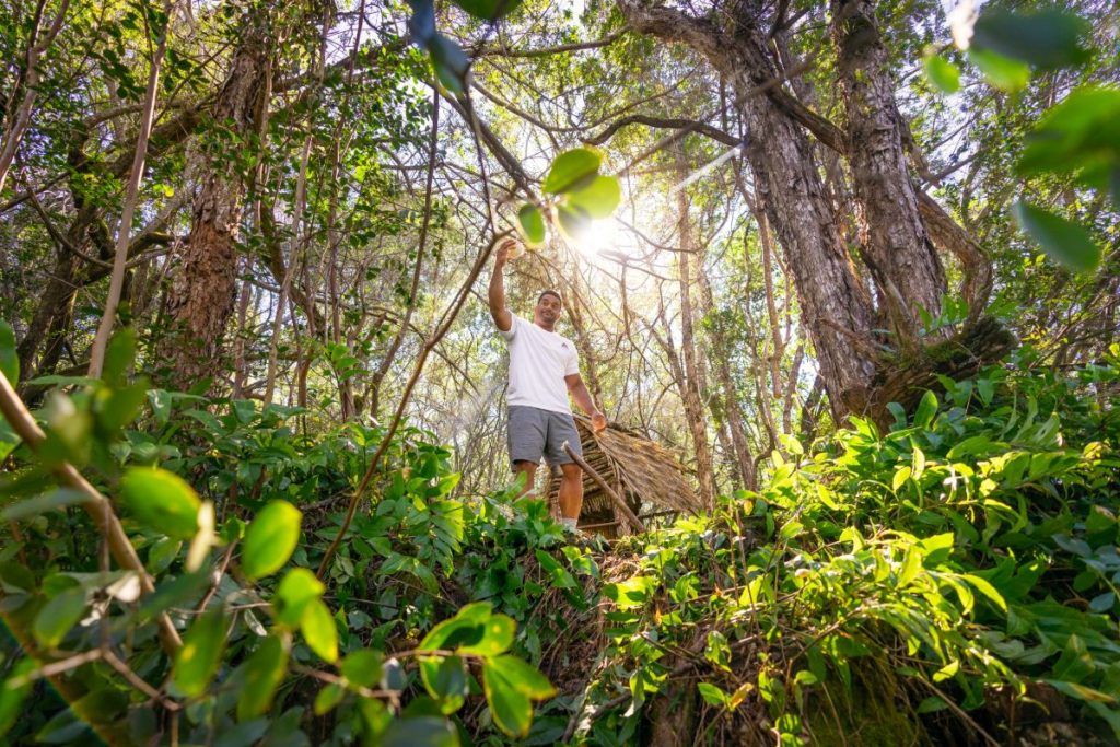 Big Island ATV Tours & Wood Carving - Aloha Adventure Farms