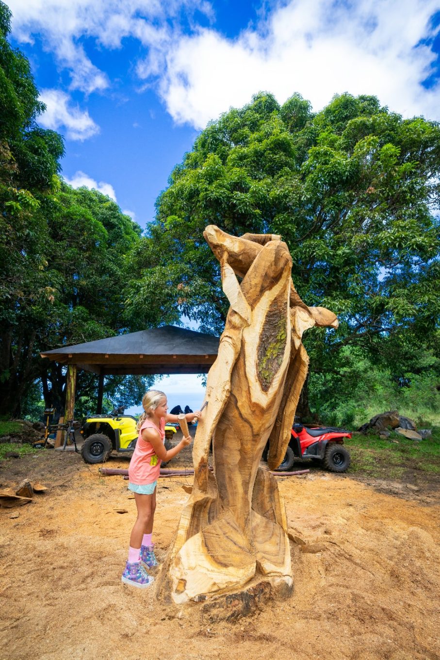 Hawaiian Wood Carvers