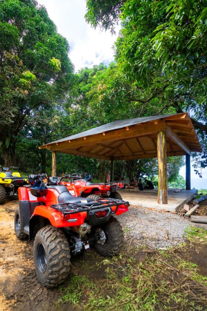 About Polynesian Adventure Tours Aloha Adventure Farms