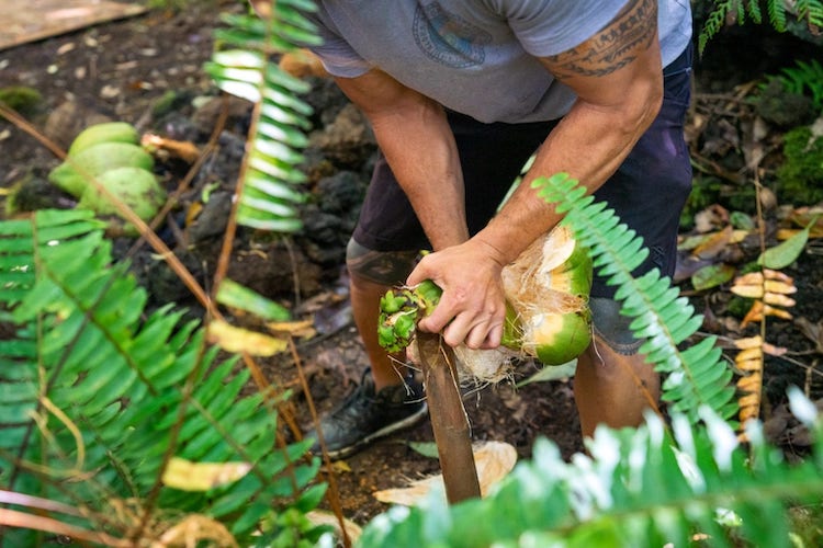Polynesian Tours on Big Island