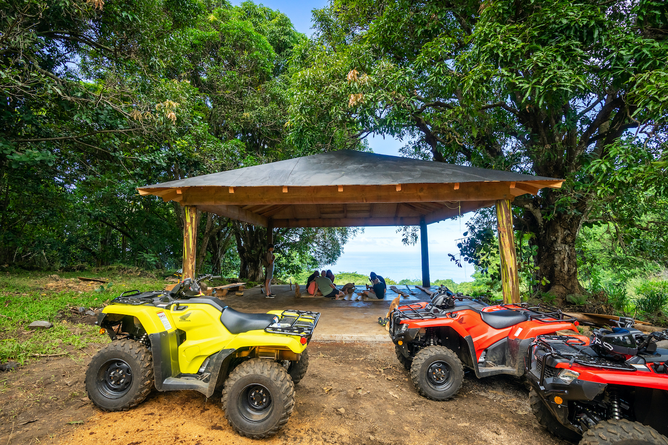 ATV Tour or Carving Tour: Which One is Right for You?