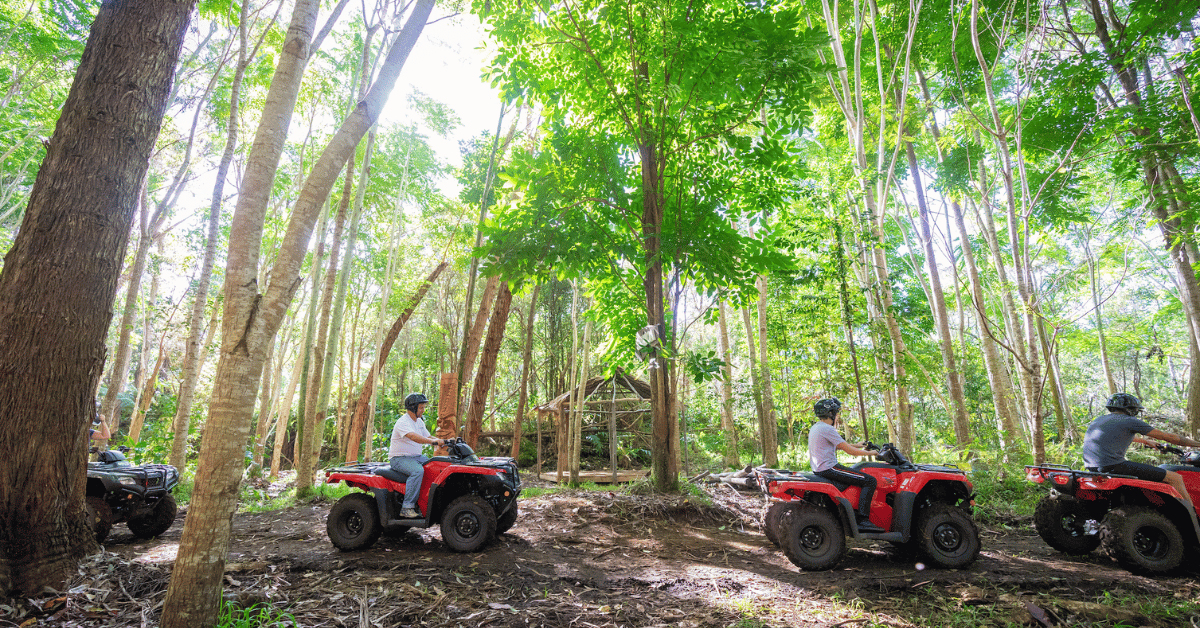 Hawaii Big Island ATV Tour
