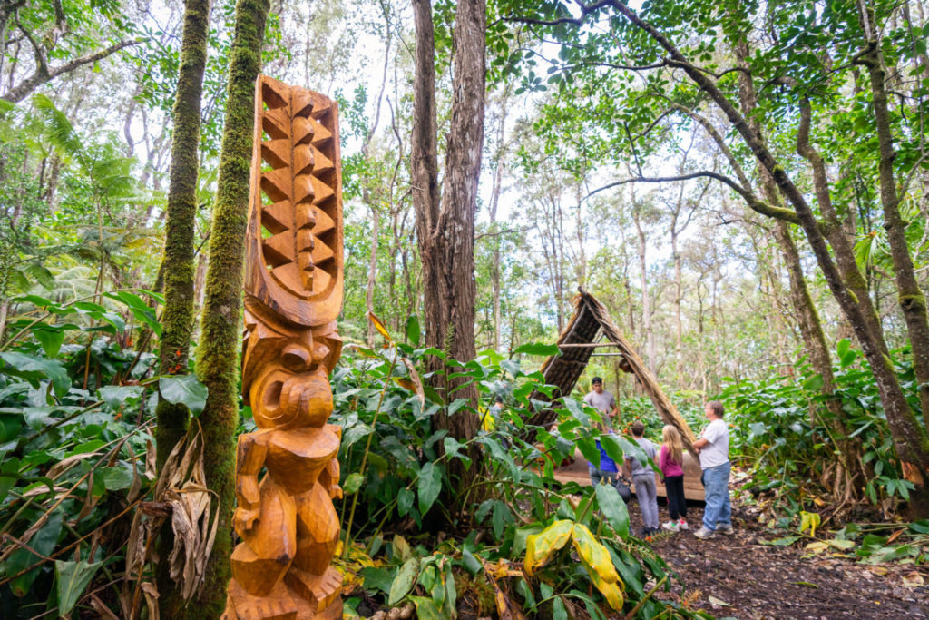 Planning a Kona Vacation Best Things To Do Aloha Adventure Farms