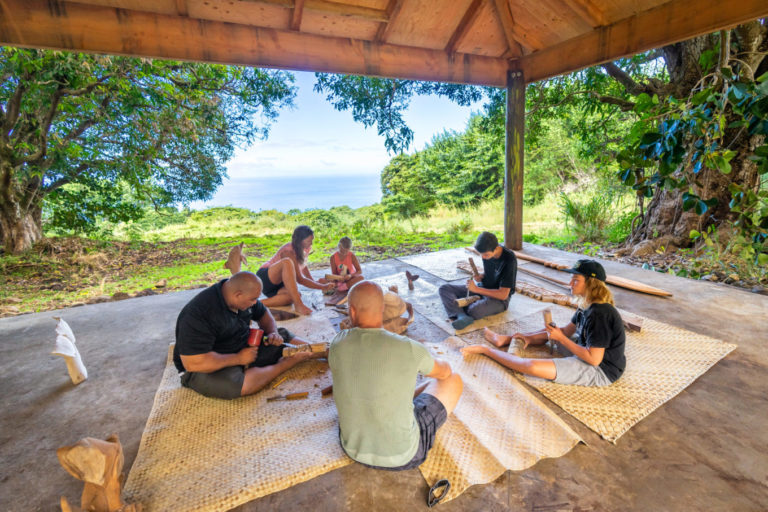 Top 5 Kona Tours The Best Kona Excursions Aloha Adventure Farms
