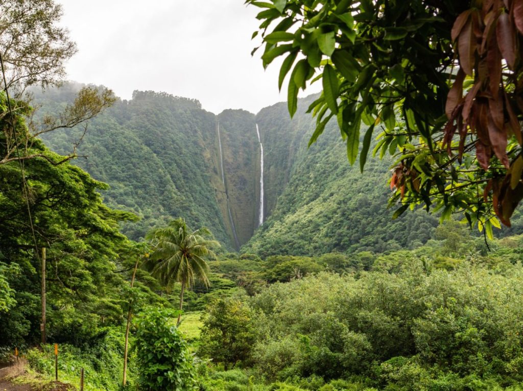 Big Island waterfall