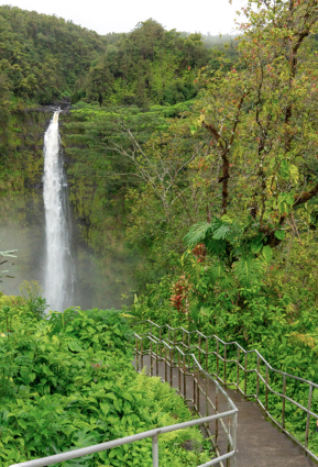 Akaka Falls Big Island Hawaii
