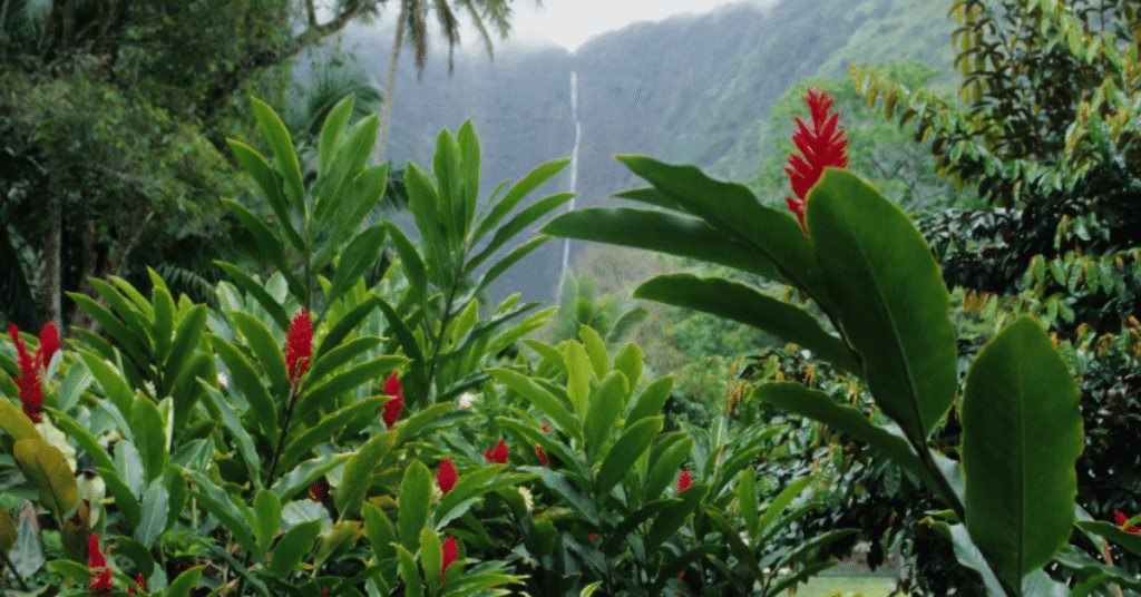 Big Island Vacation Itinerary blog