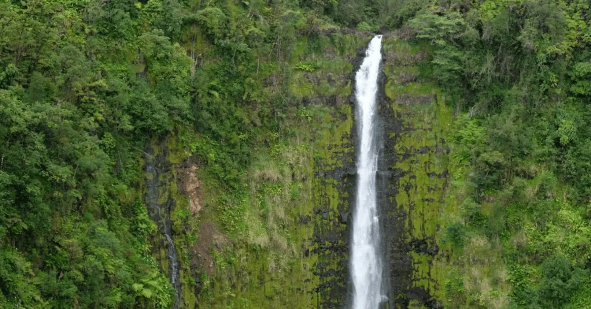 Waterfall - Big Island with Kids