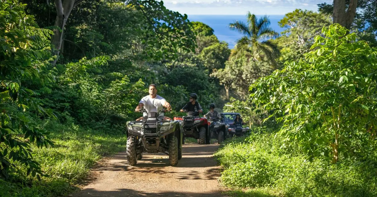 Land, Sea & Sky: The Ultimate Big Island Excursion Guide