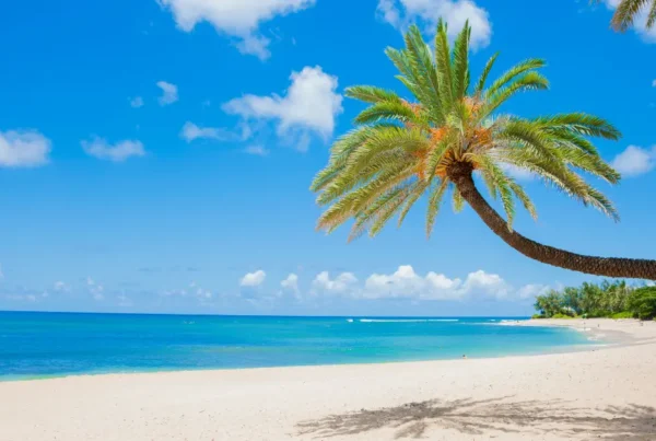 hawaii at peak travel season