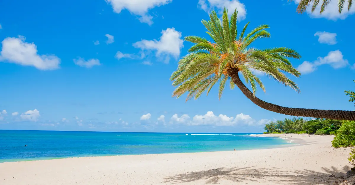 Peak Hawaii Travel Season: When Is It and How to Travel