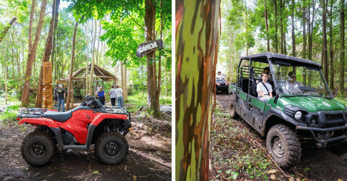 split image with atvs and utvs