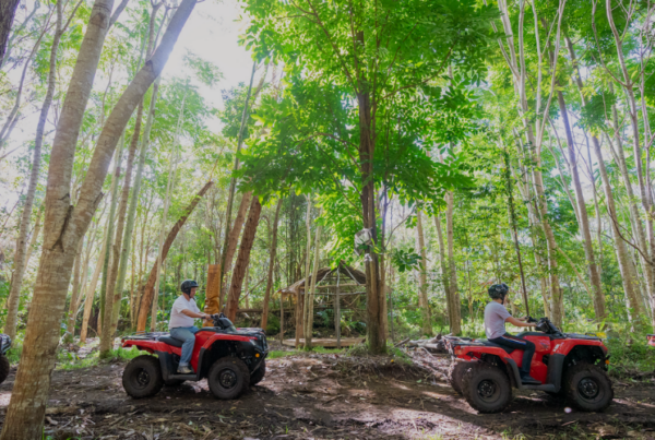 row of atvs on big island in hawaii