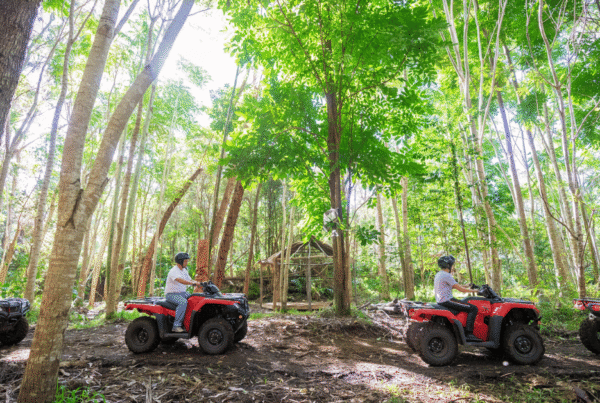 row of atvs on big island in hawaii