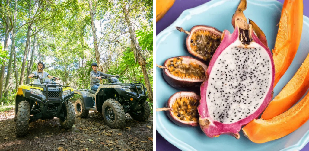 collage of big island atv tour and fruit tasting tour